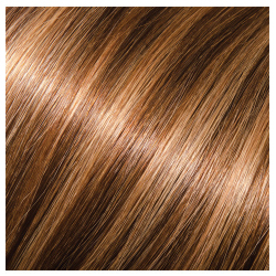 Babe Crown Hair Extension 16in Straight #6/10 Eva