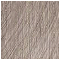 L'Oréal Professionnel Dia Light Acidic Gloss 9.18