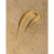 Show Picture 2